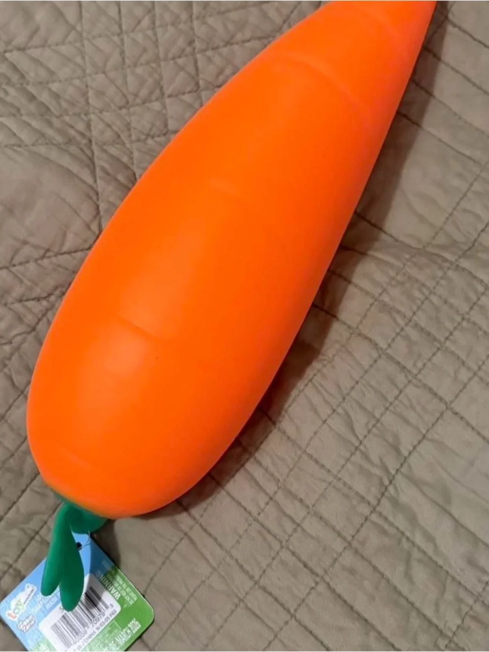 Sunny Days Squishy Carrot